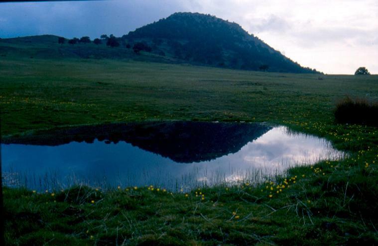 Cuevas Adonia Villa Freila Luaran gambar